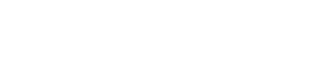 USMP - Instituto de Gobierno y Gestión Pública